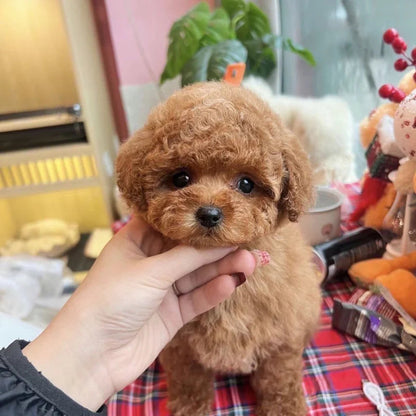 Realistický plyšový robotický pejsek, který běhá a skáče, nejlepší společník pro děti, ideální dárek pro vaše dítě!