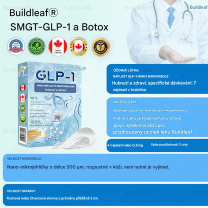 Coeurva® nano mikojehličková zdravotní náplast na hubnutí řeší problémy s cholesterolem a cévami způsobené obezitou