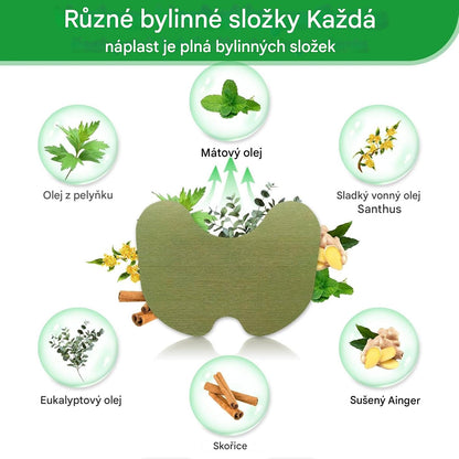 Telinala — bylinné náplasti proti bolesti, vyvinuté německými lékárníky speciálně pro seniory s bolestmi ramen, nohou a zad!🌿🌿