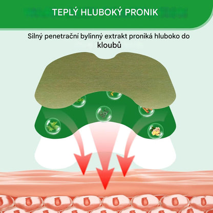 Telinala — bylinné náplasti proti bolesti, vyvinuté německými lékárníky speciálně pro seniory s bolestmi ramen, nohou a zad!🌿🌿